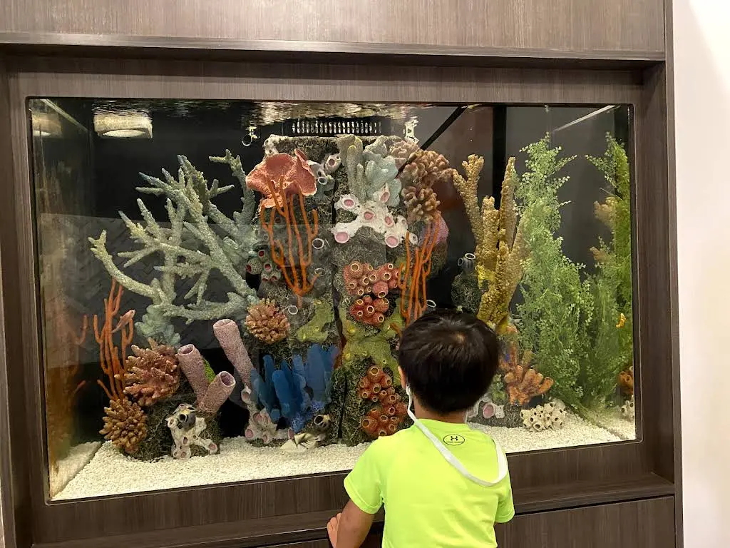 NOVA Pediatric Dentistry & Orthodontics