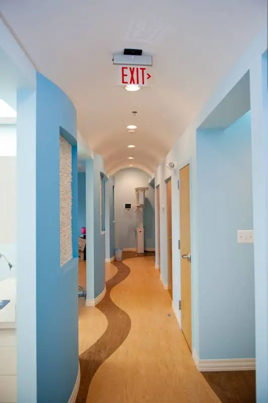Ashburn Divine Dental