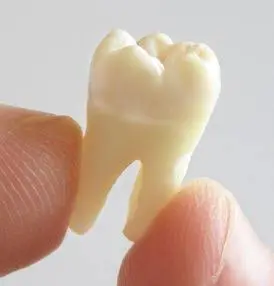 Port Washington Family Dentistry