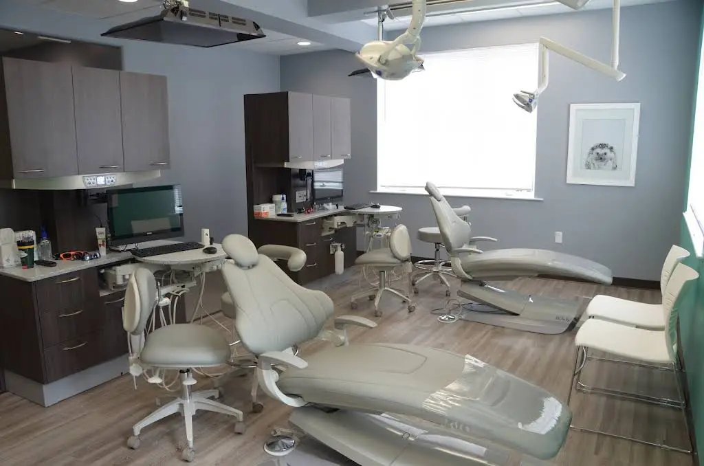 Little Critter Pediatric Dentistry