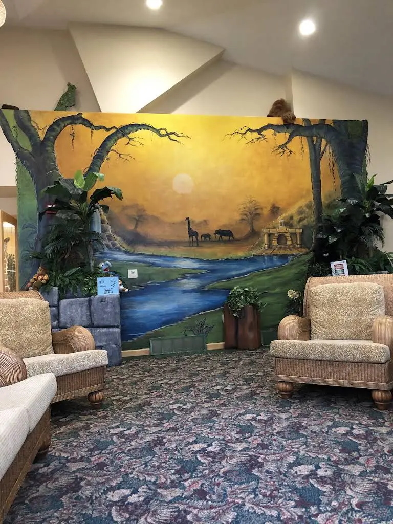 Dental Haven
