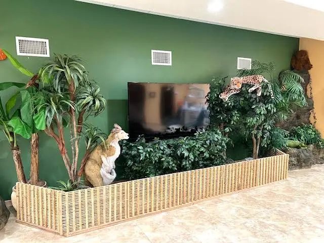Dental Haven