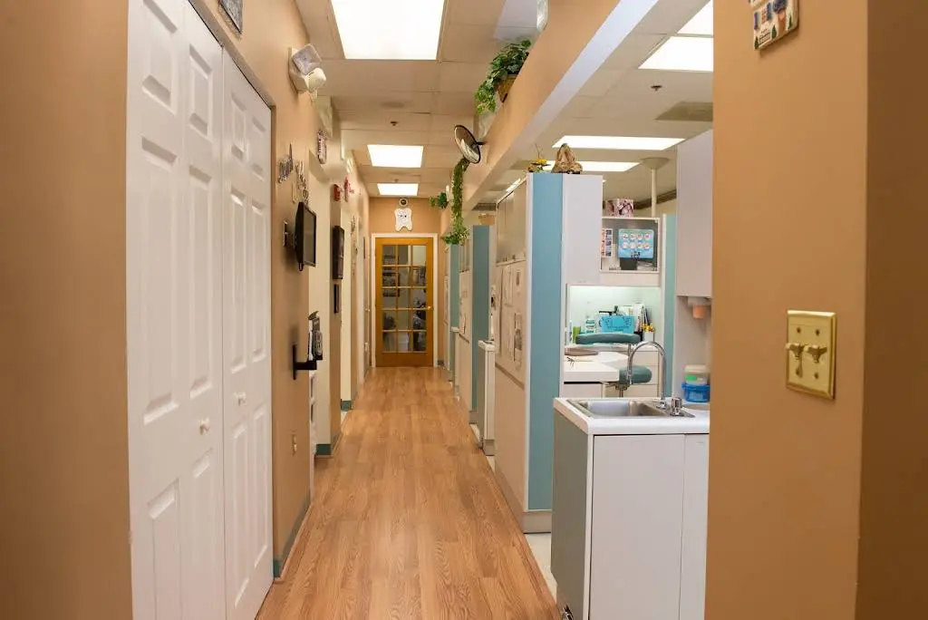 Professional Dental Associates
