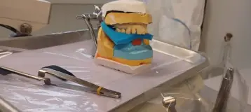 Iwona E Kubiczek, DDS PA