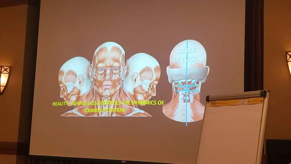 Dynamic Dental Wellness