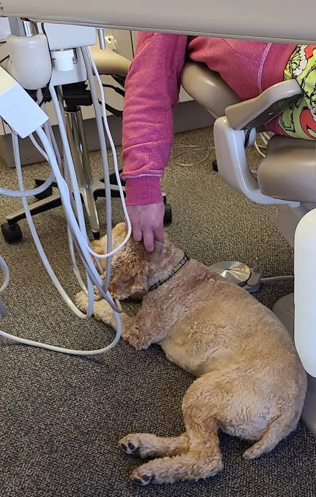 Sierra Dental