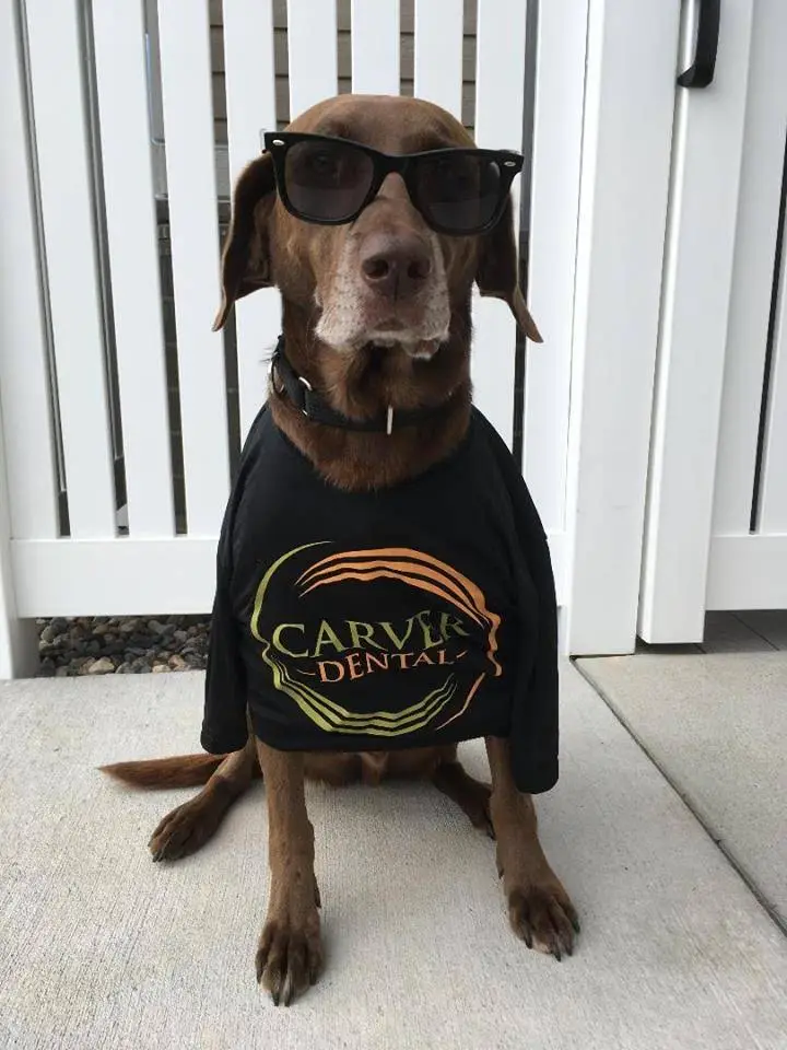Carver Dental