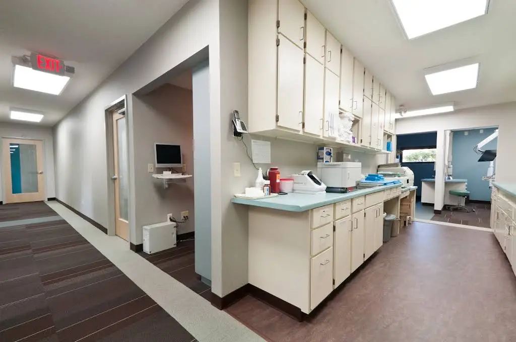 Johnson Dental