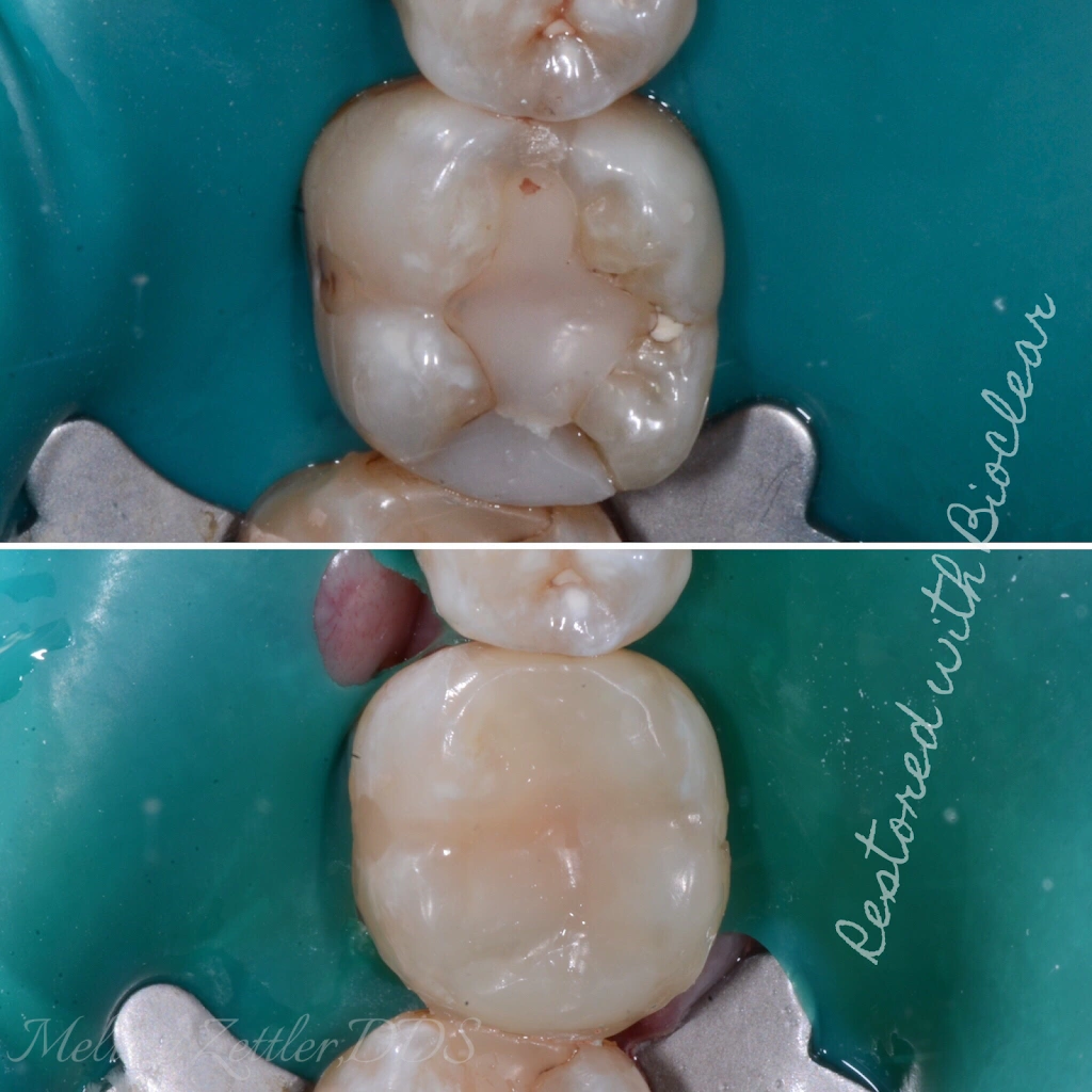 Cherrywood Dental - Savage