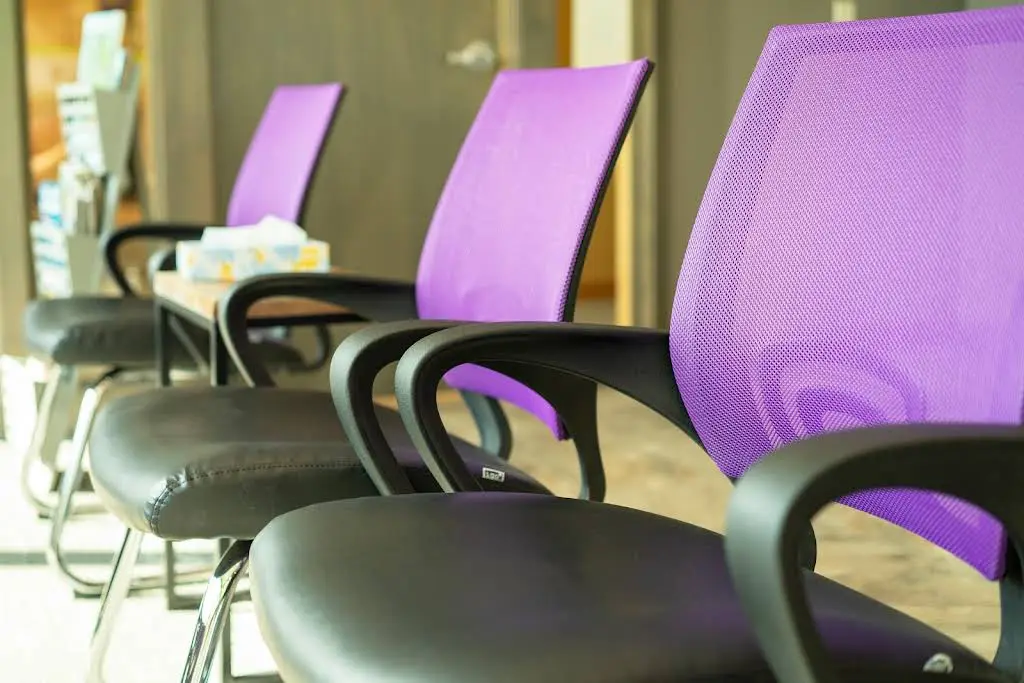 Veil & Wild Orthodontics