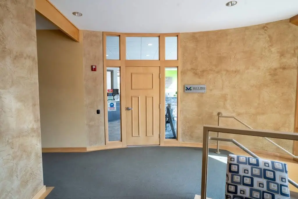 Veil & Wild Orthodontics