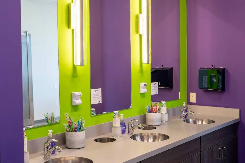 Veil & Wild Orthodontics