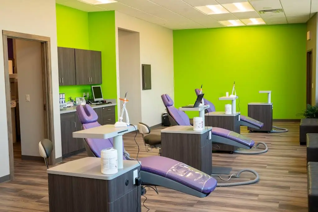 Veil & Wild Orthodontics