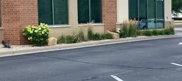 Grayce Dental