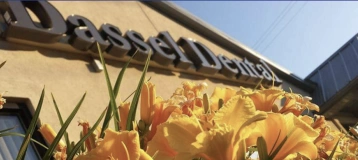 Dassel Dental