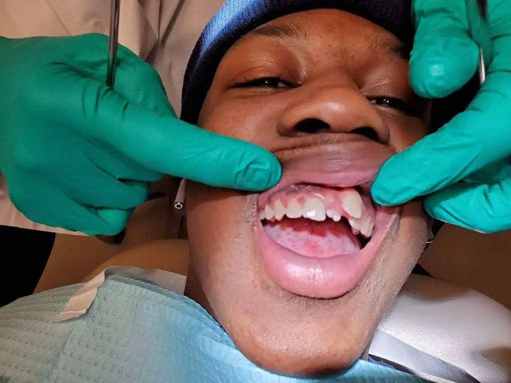 Veil & Wild Orthodontics