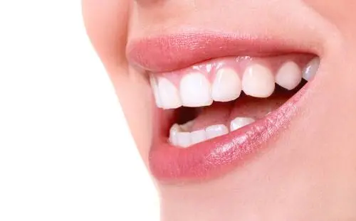 Tooth by the Lake