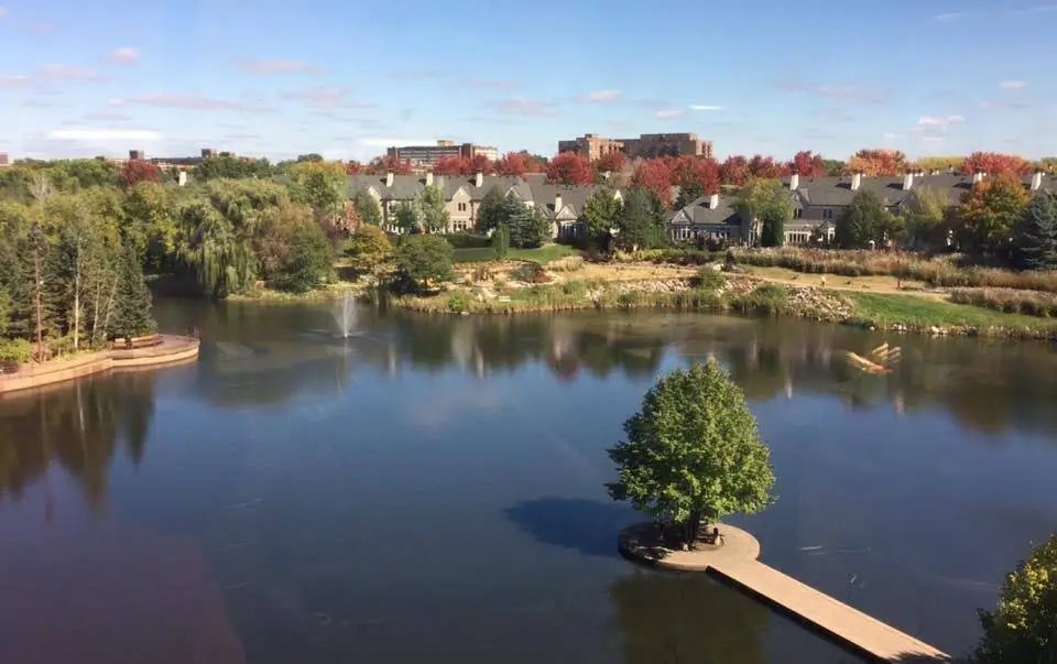 Edina Orthodontics - Centennial Lakes