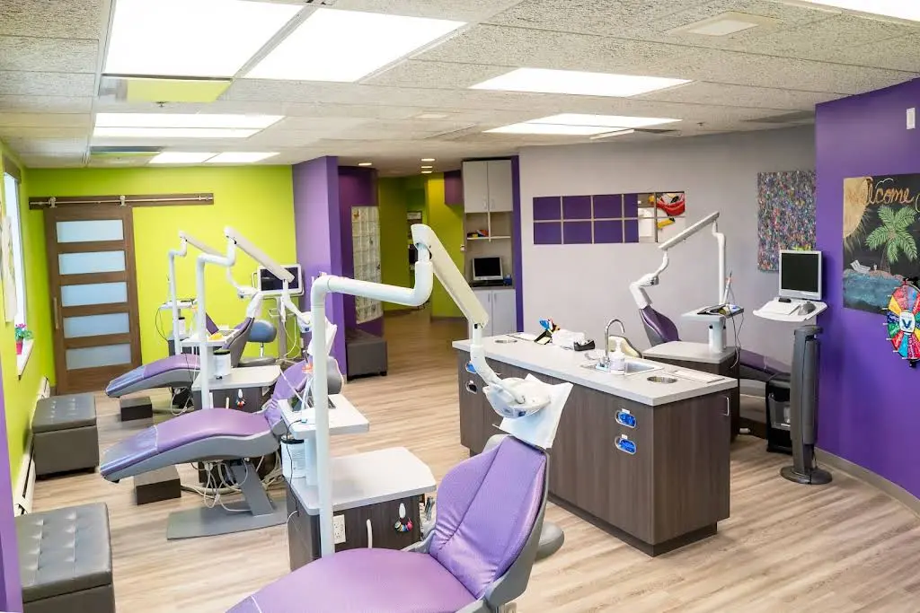 Veil & Wild Orthodontics