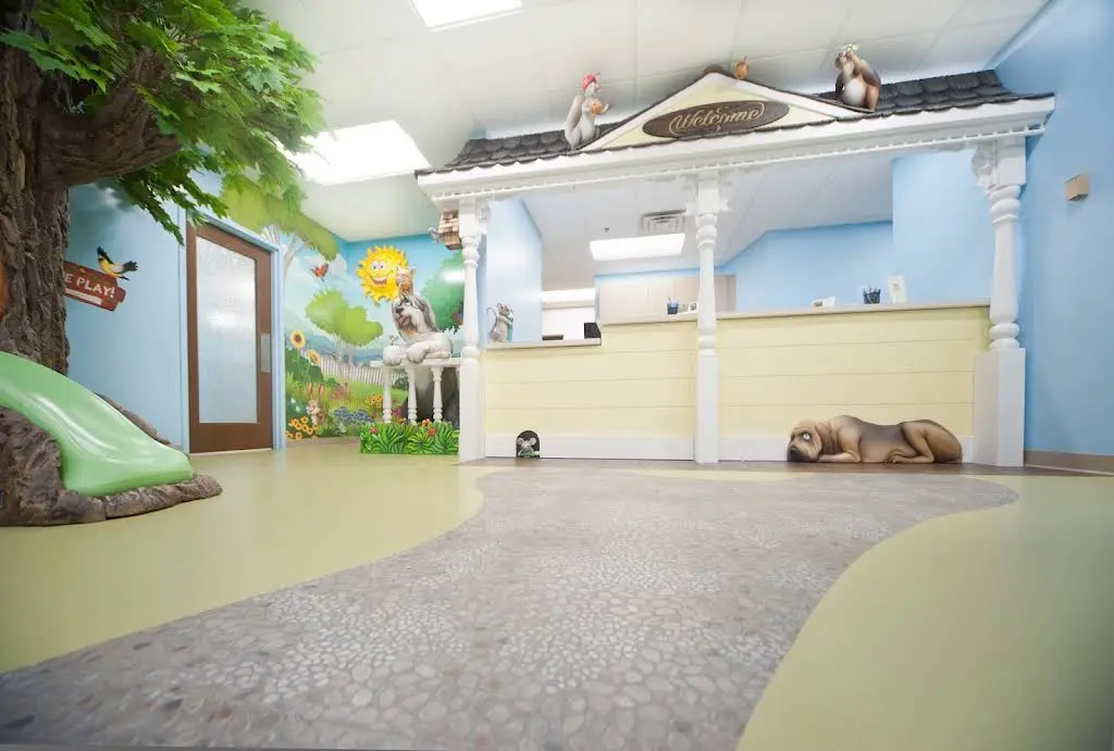 Kid Grins Pediatric Dentistry