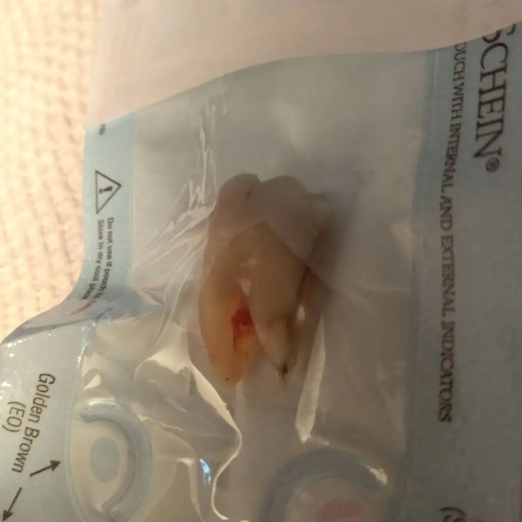 Endodontic Associates Limited Otsego