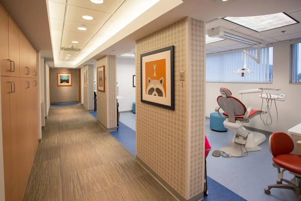 The Dental Specialists Pediatric Dentistry
