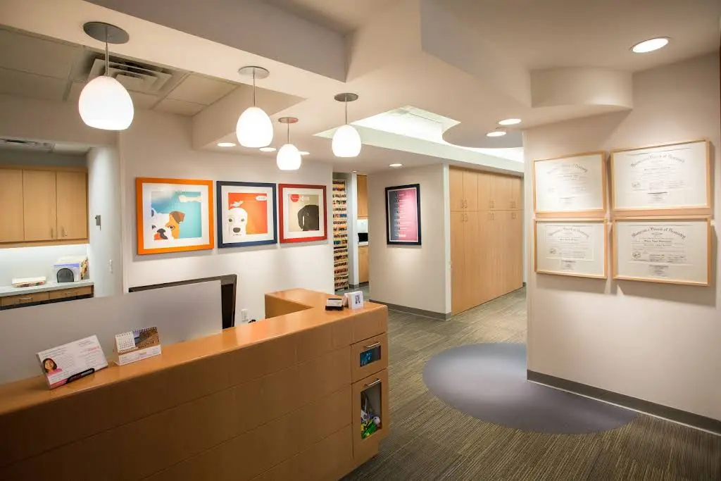 The Dental Specialists Pediatric Dentistry