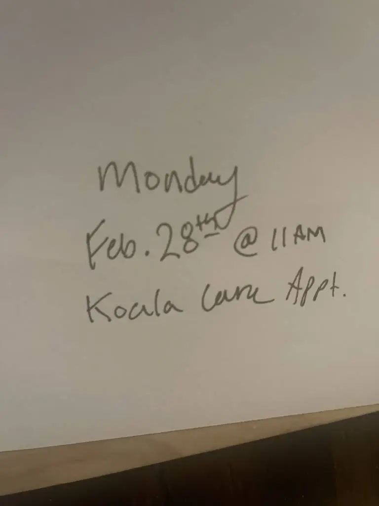 K.O.A.L.A. Dental Care