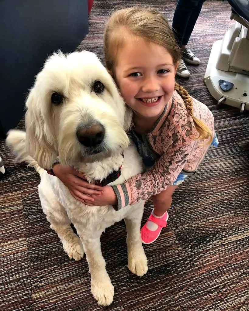 Lakeside Orthodontics - Eagan