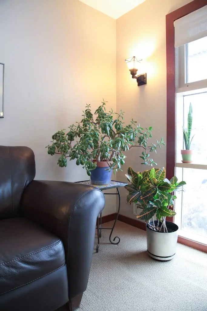 Mill City Dental
