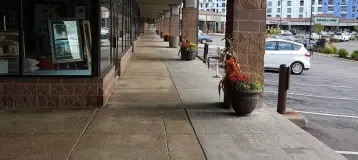 City Dental