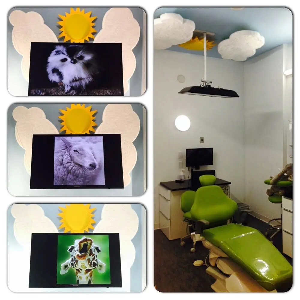 Tooth & Co. Pediatric Dentistry