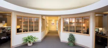 The Dental Specialists