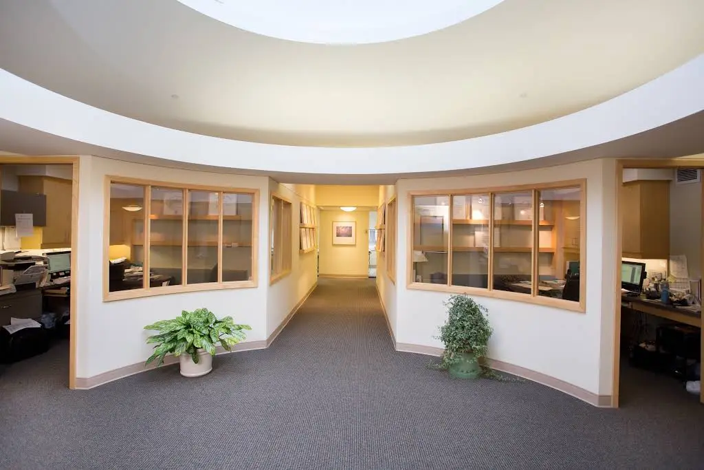 The Dental Specialists