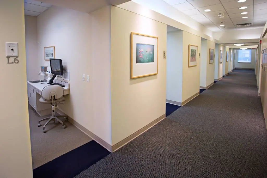 The Dental Specialists