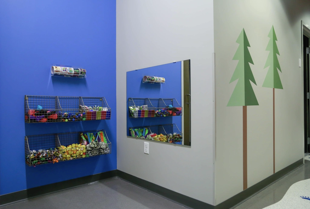 Blaine Kidds Pediatric Dentistry & Orthodontics