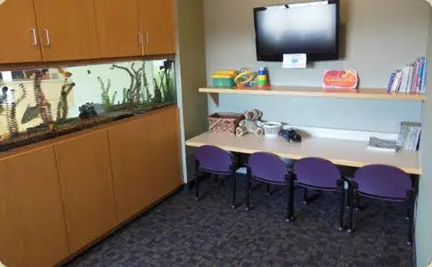 Dentistry at the Center