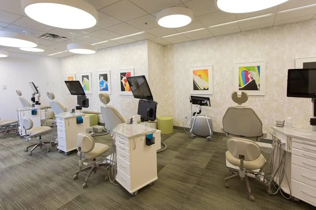 The Dental Specialists