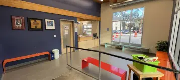 Children's Dental Services