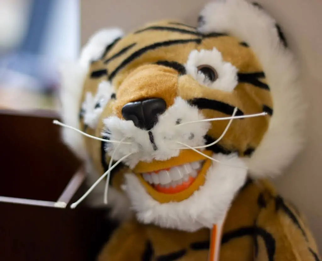 NJC Dentistry
