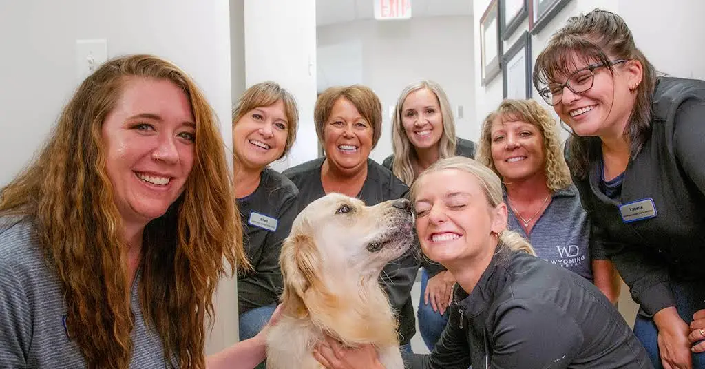 Wyoming Dental