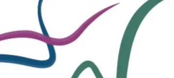 Borealis Dental Studio
