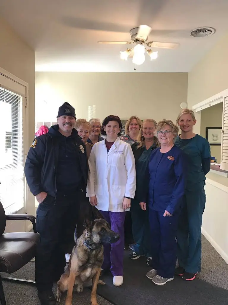 East Dental: Drs. Marker Johnson & Walesheck