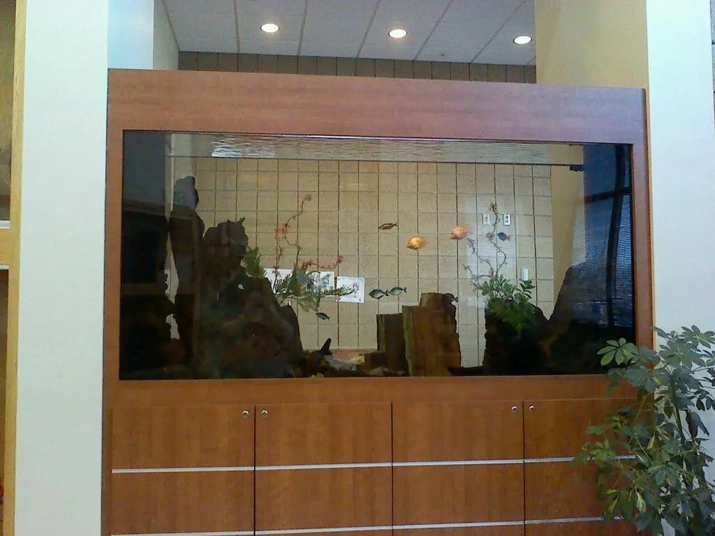 Community Dental Care - Maplewood