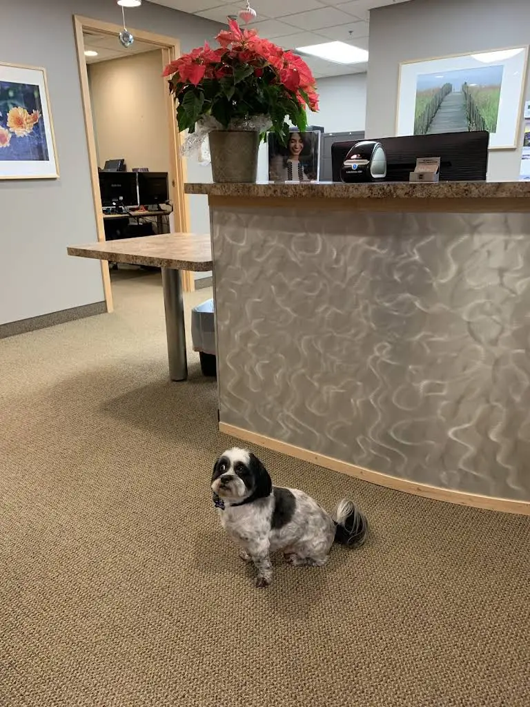 Birch Lake Dental