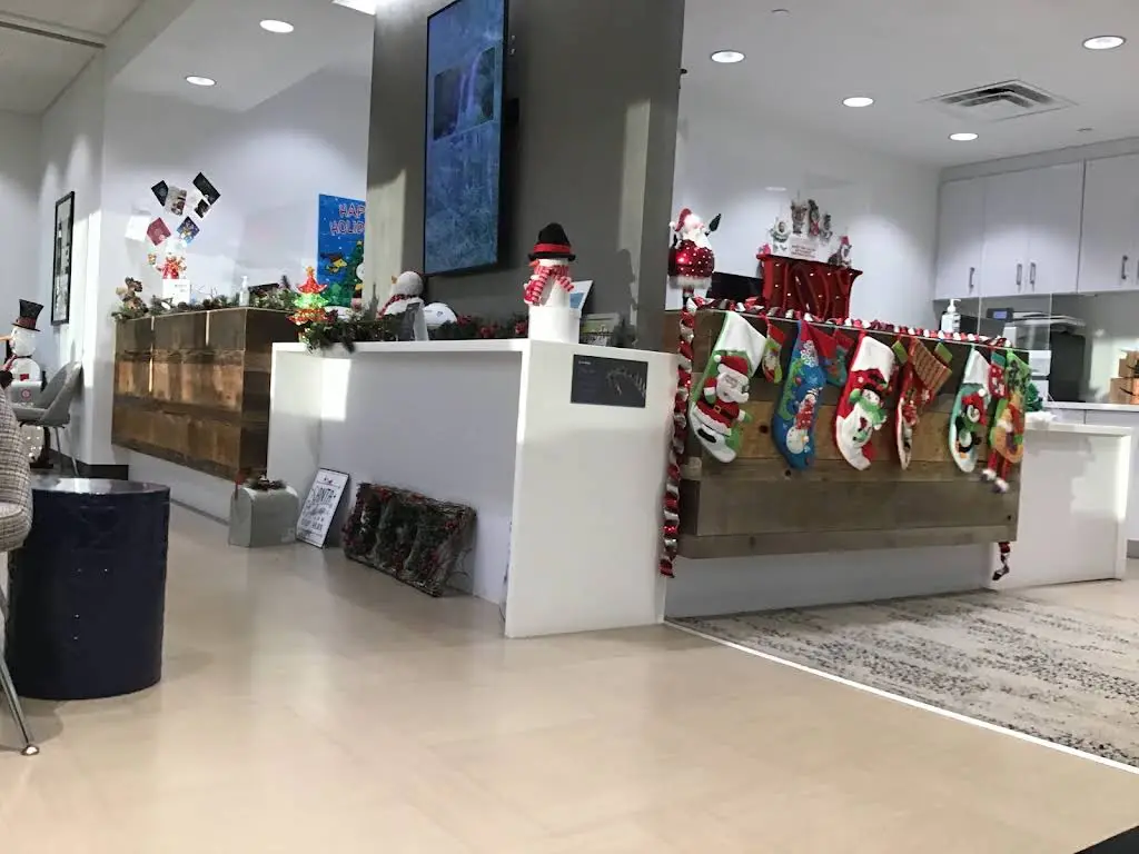 Thabet Orthodontics
