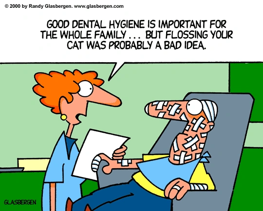 Shelton Dental Excellence