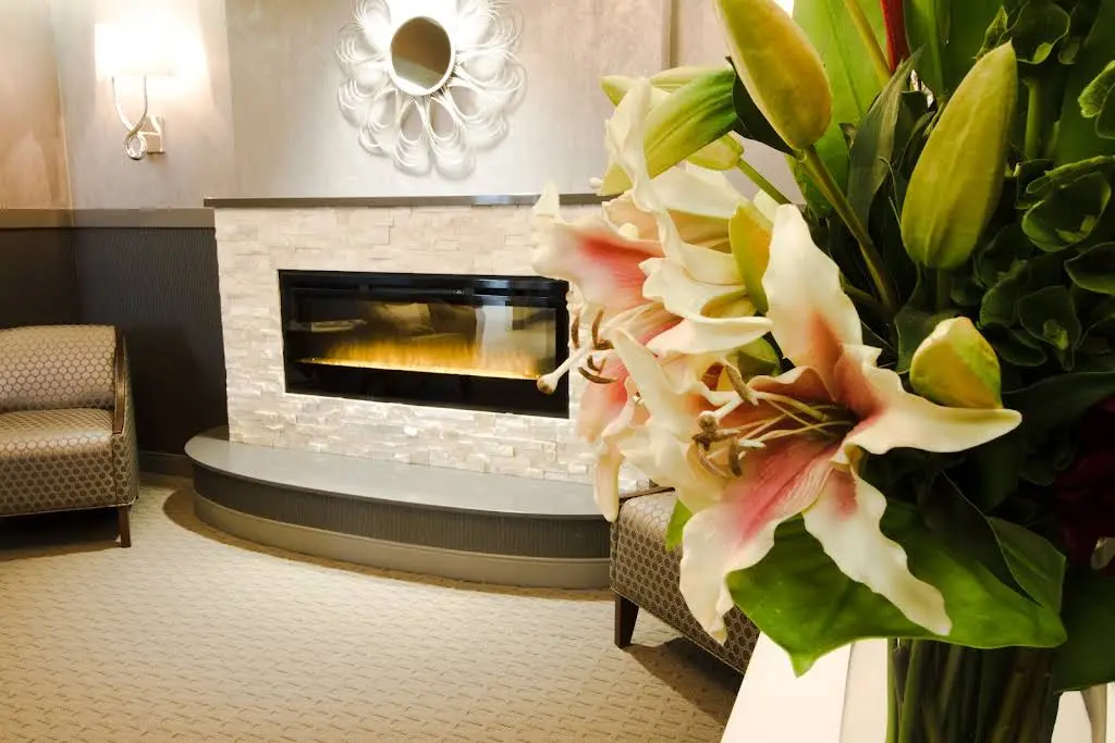 Tranquility Dental Wellness - Tumwater