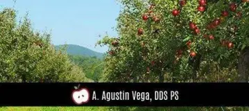 A. Agustin Vega, DDS