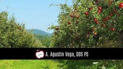A. Agustin Vega, DDS